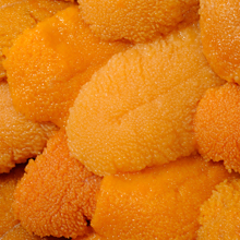 Erizos