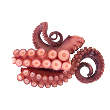 Pulpo